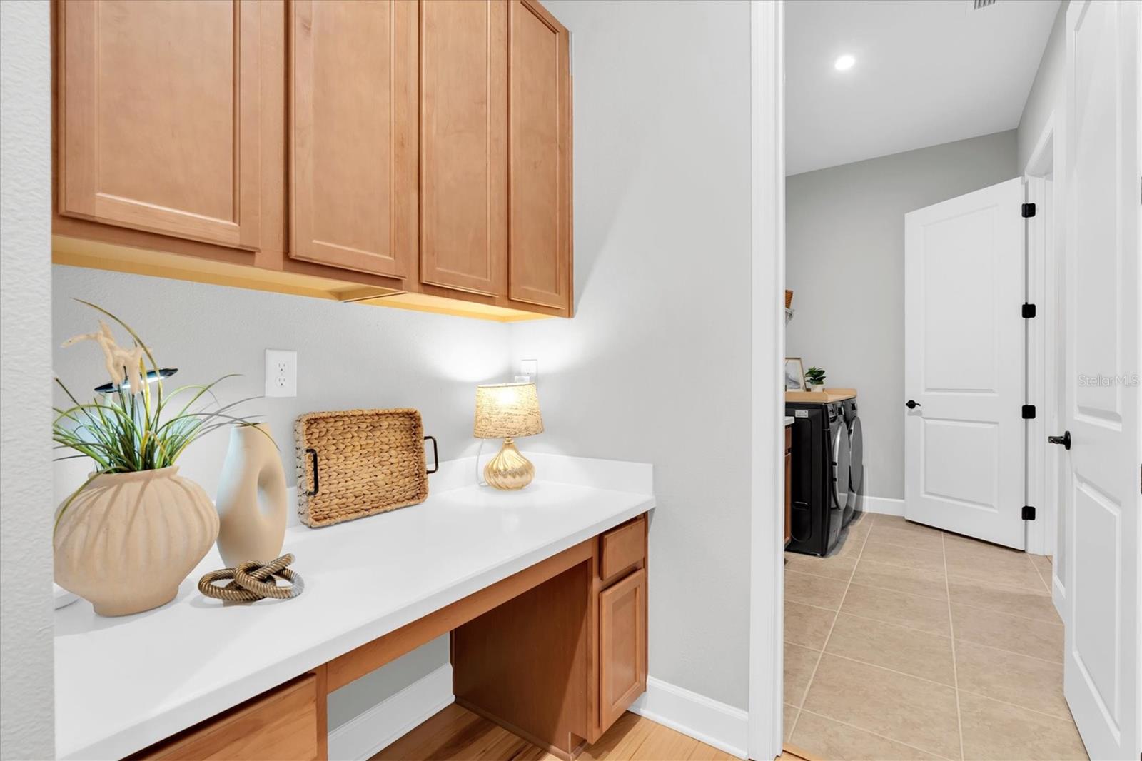 3839 BARBOUR TRL, ODESSA, FL, 33556