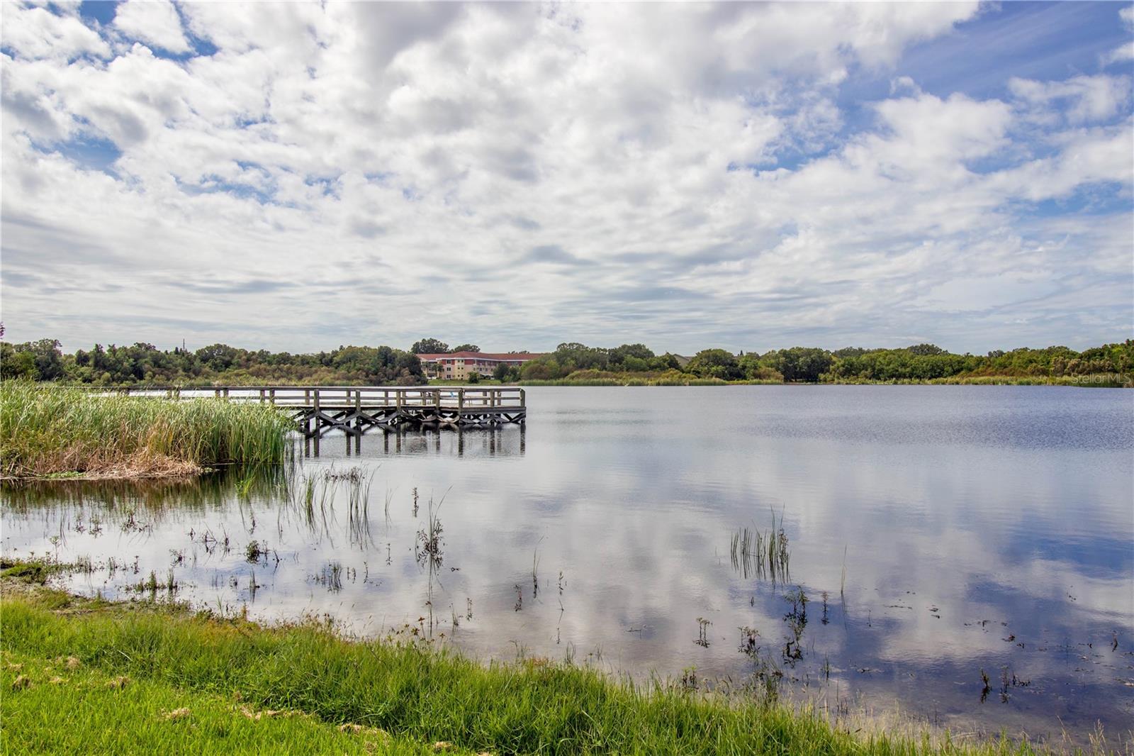2020 SHANGRILA DR #219, CLEARWATER, FL, 33763