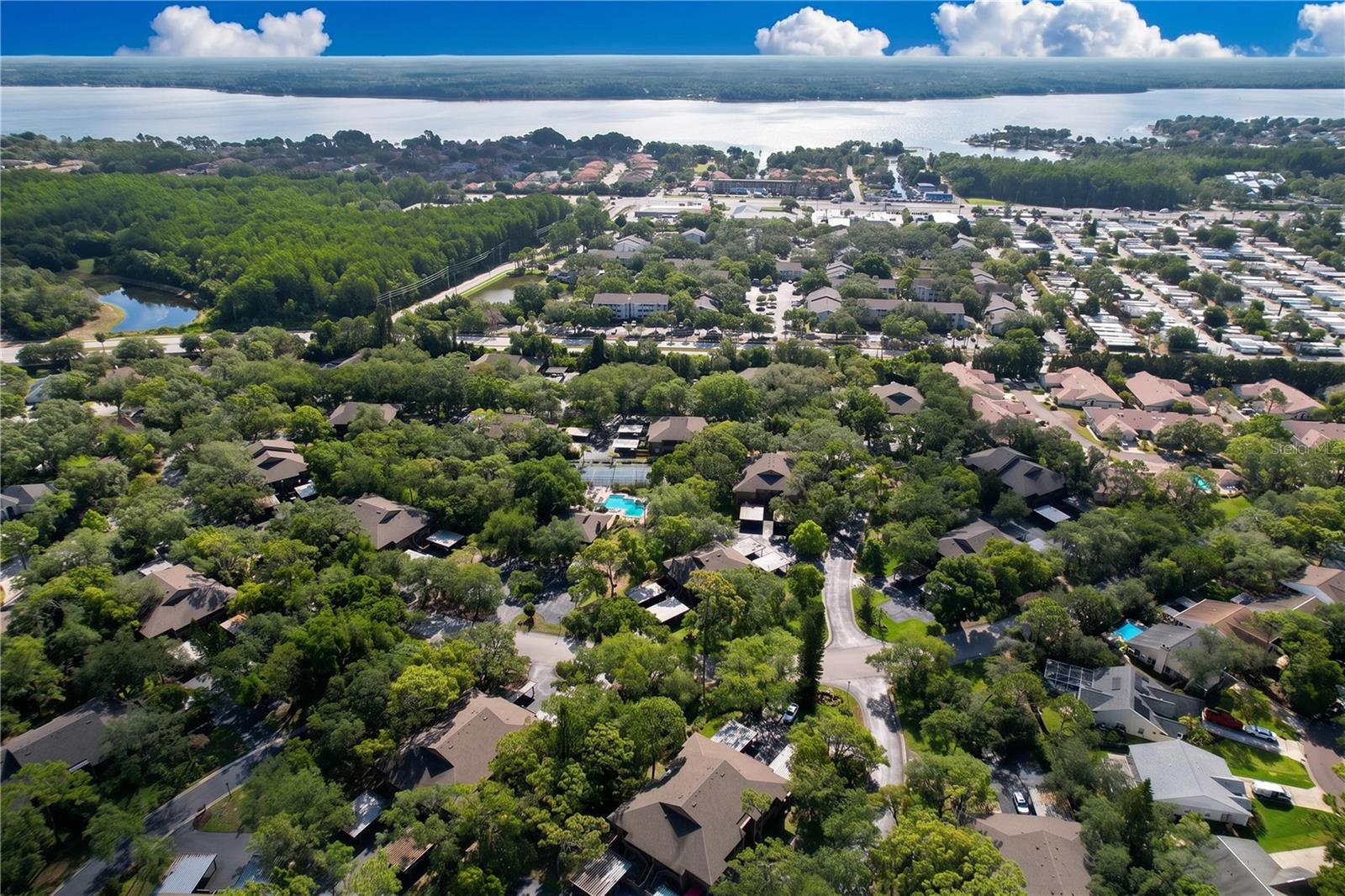 1006 LENNOX RD W #1006, PALM HARBOR, FL, 34683
