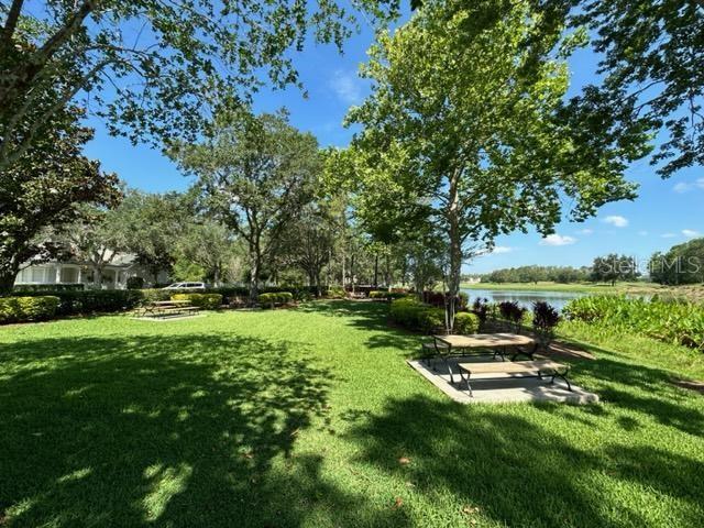 917 WATERSIDE LN #203, CELEBRATION, FL, 34747