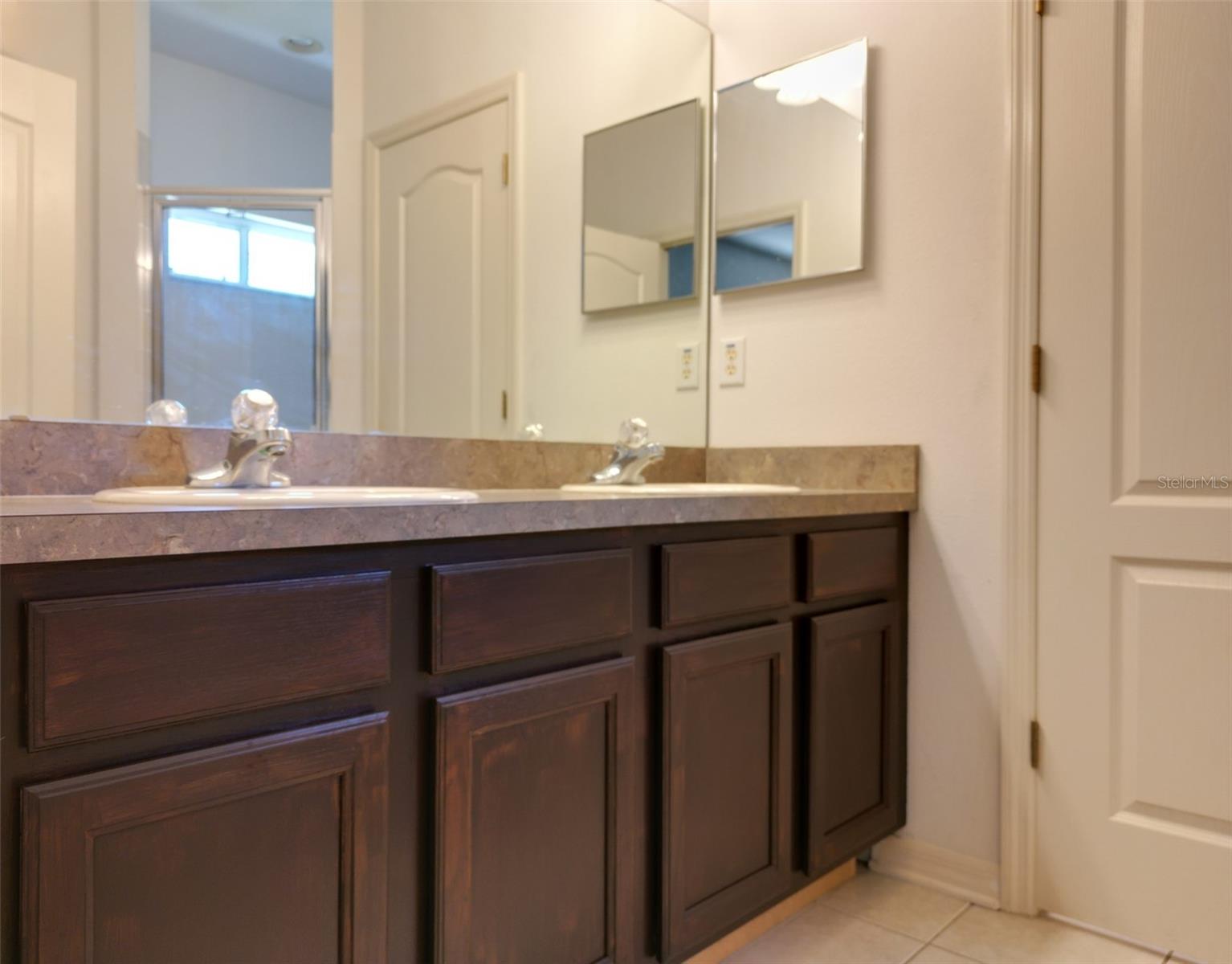 3922 LANGDRUM DR, WESLEY CHAPEL, FL, 33543