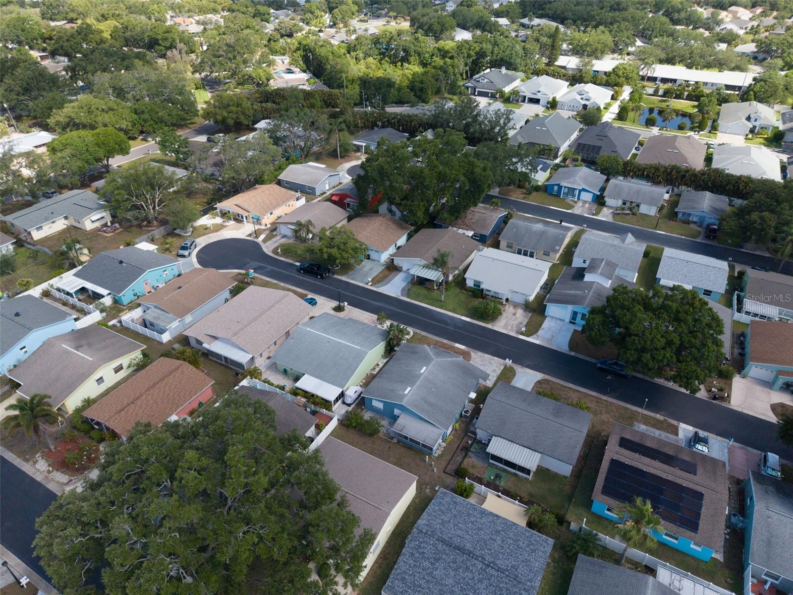 1009 CRANE CT, DUNEDIN, FL, 34698