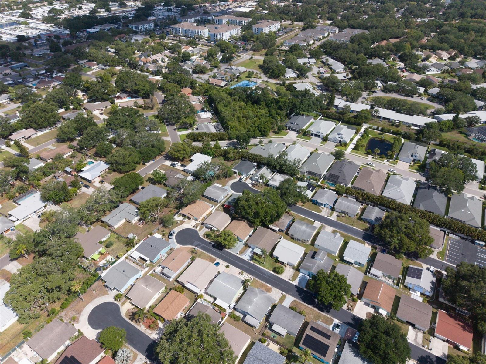 1009 CRANE CT, DUNEDIN, FL, 34698