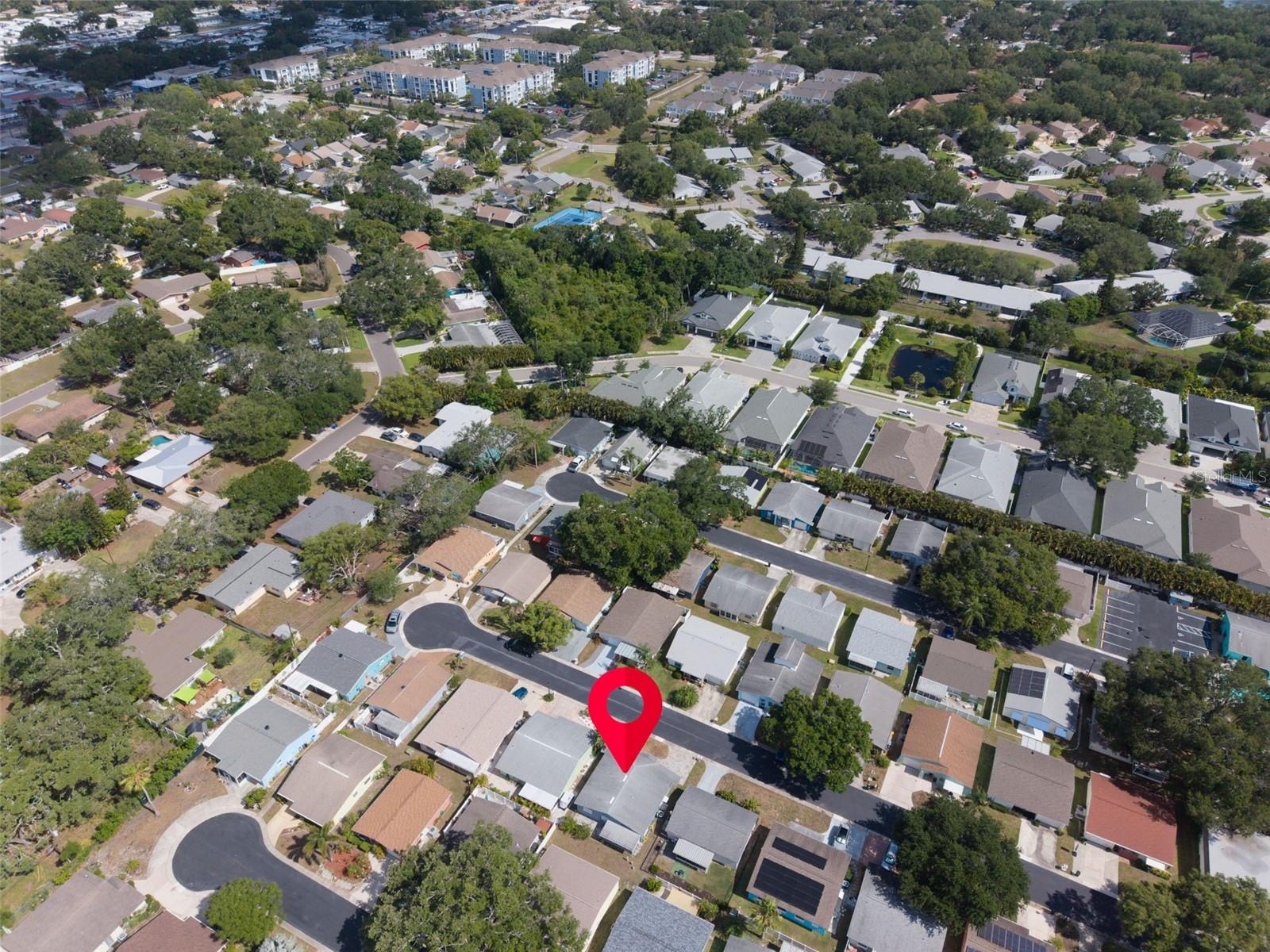 1009 CRANE CT, DUNEDIN, FL, 34698
