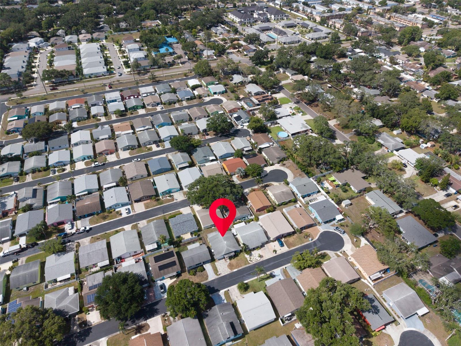 1009 CRANE CT, DUNEDIN, FL, 34698