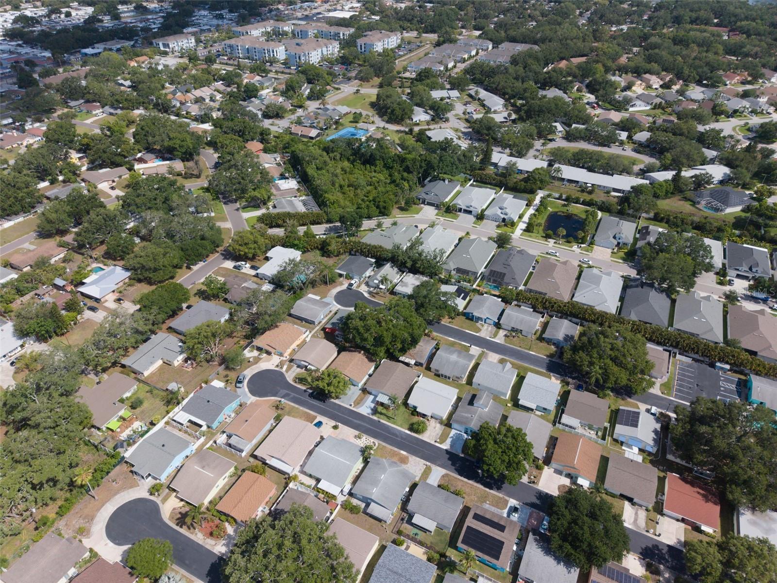 1009 CRANE CT, DUNEDIN, FL, 34698