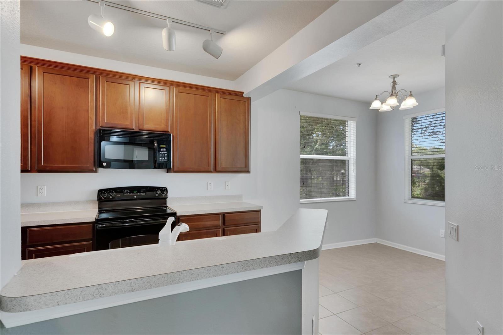 2041 RIVER TURIA CIR #2041, RIVERVIEW, FL, 33578