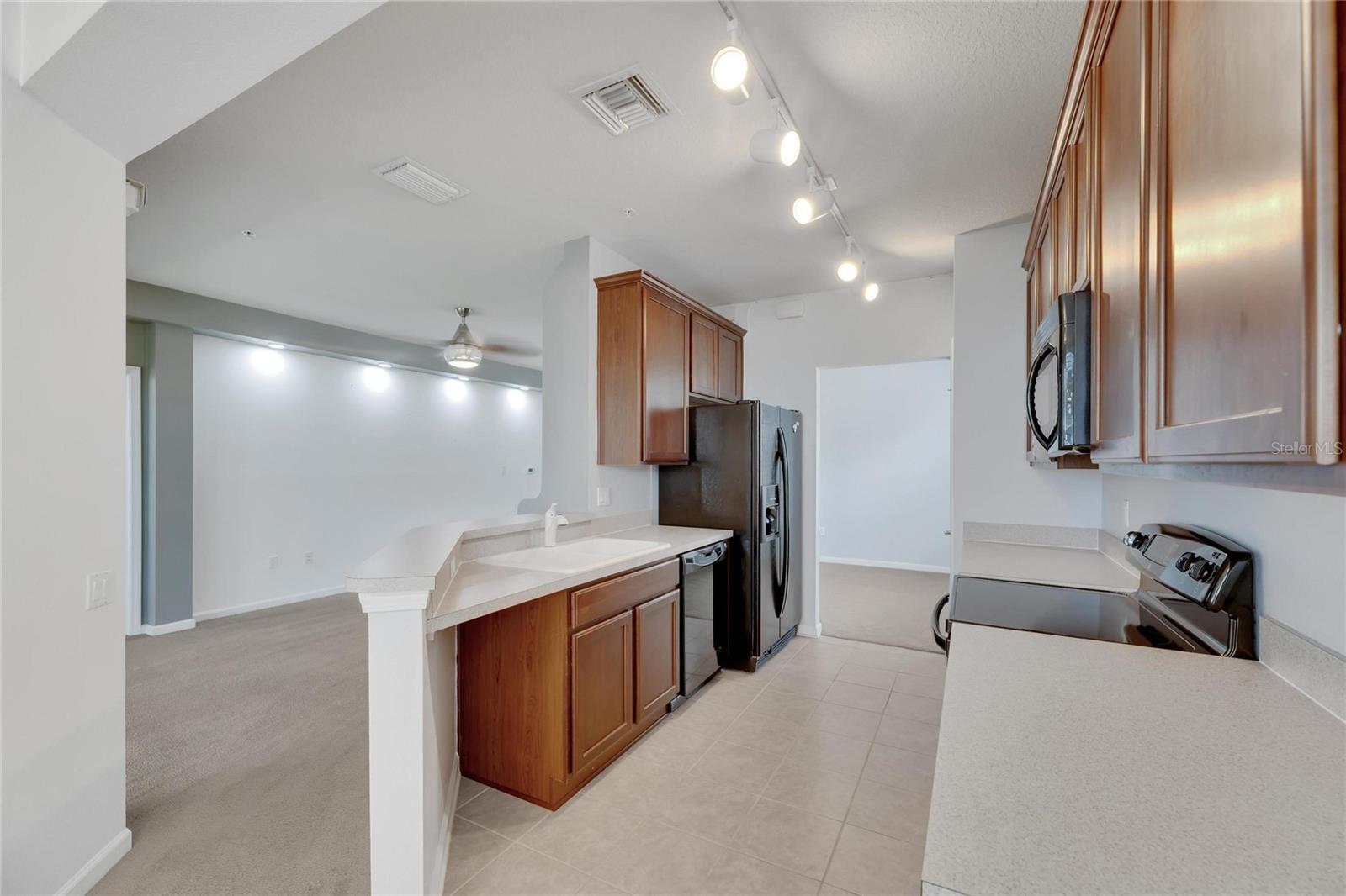 2041 RIVER TURIA CIR #2041, RIVERVIEW, FL, 33578
