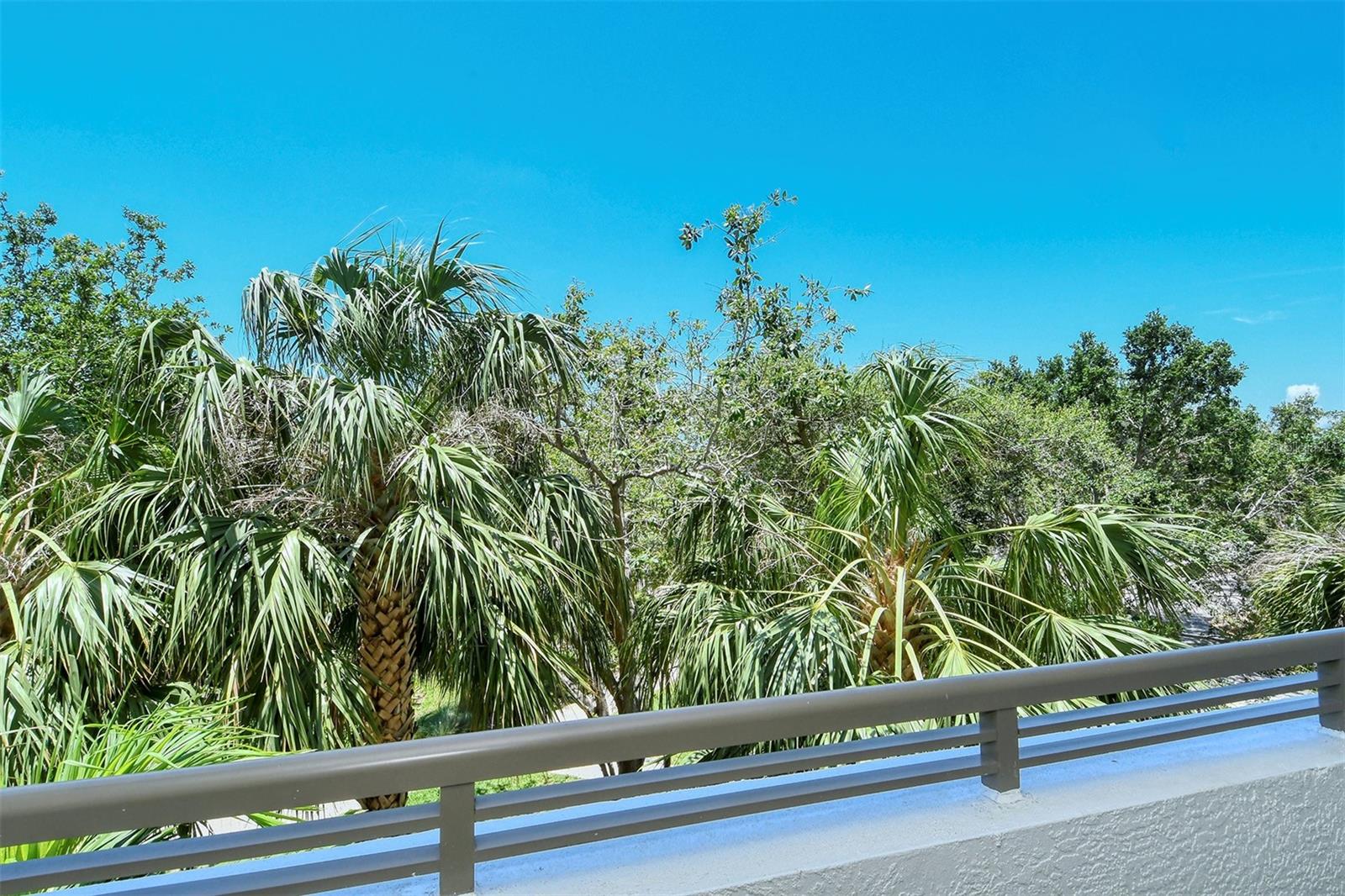 800 N TAMIAMI TRL #203, SARASOTA, FL, 34236