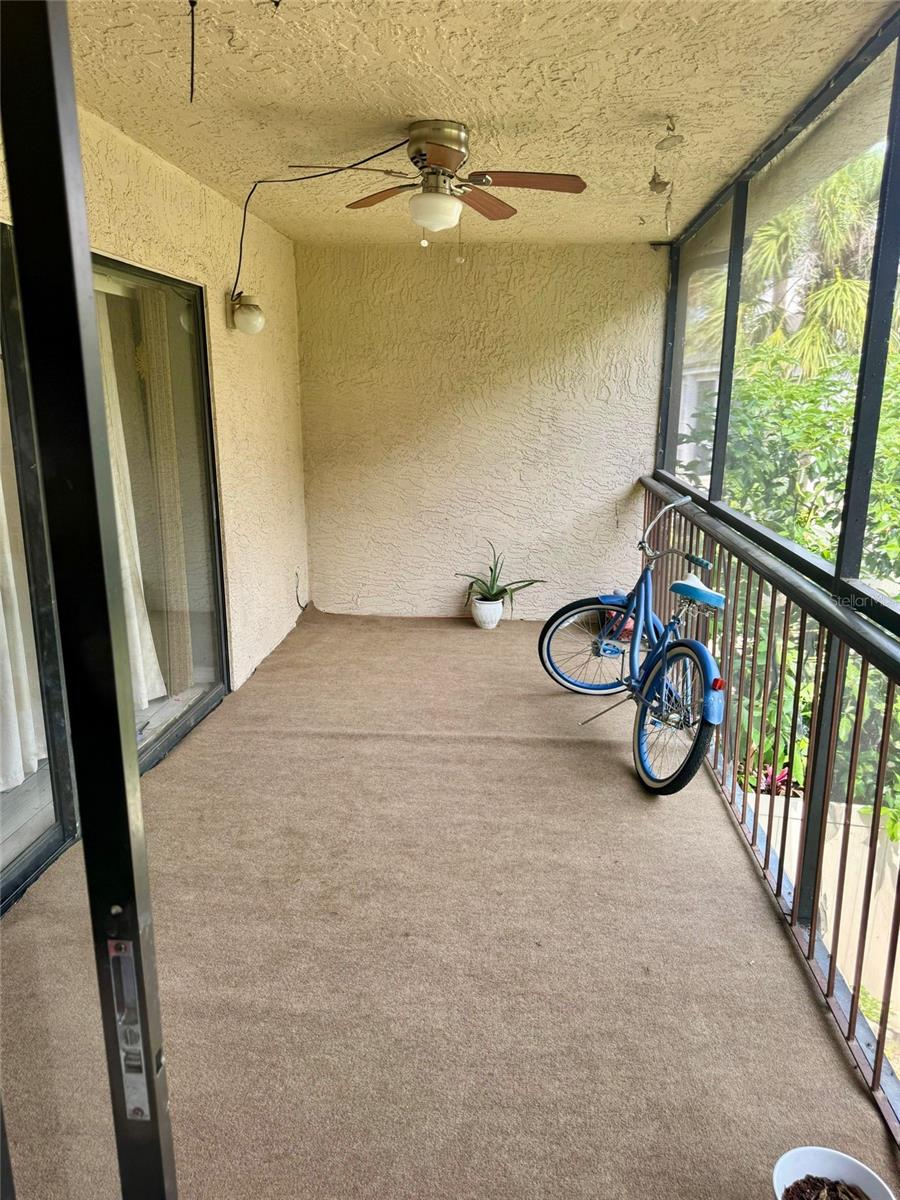 4747 PURITAN CIR #523, TAMPA, FL, 33617