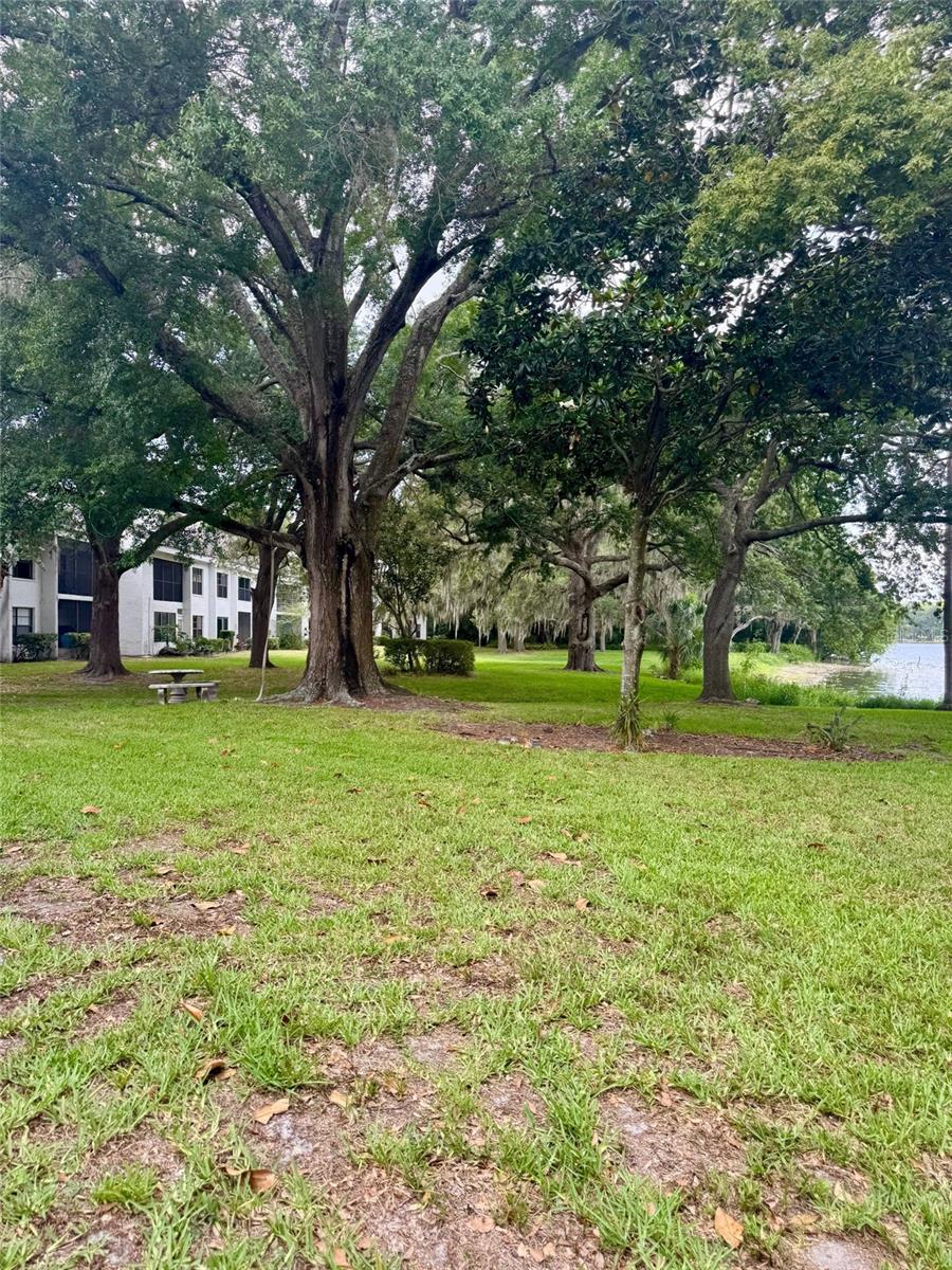 4747 PURITAN CIR #523, TAMPA, FL, 33617