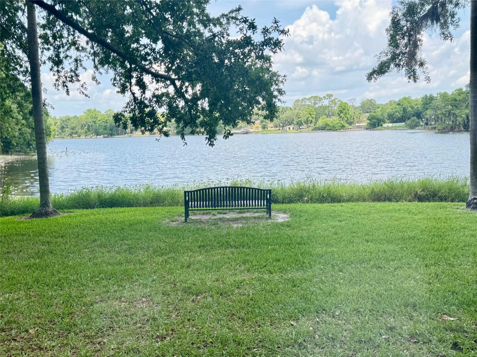 4747 PURITAN CIR #523, TAMPA, FL, 33617