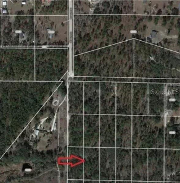 SE 60 ST, MORRISTON, FL, 32668