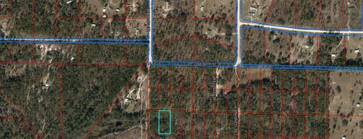 SE 60 ST, MORRISTON, FL, 32668