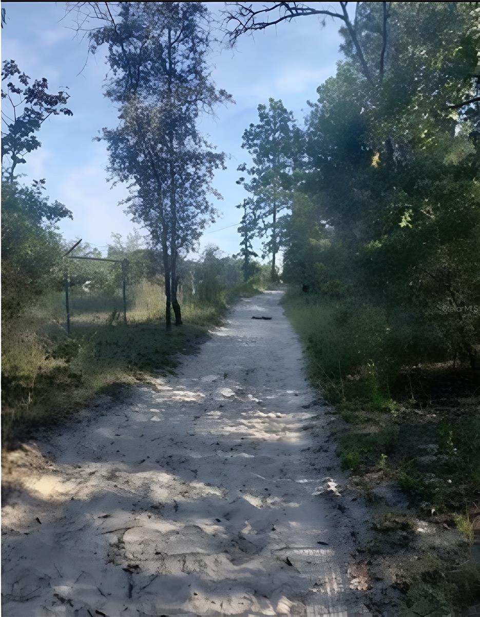 SE 60 ST, MORRISTON, FL, 32668