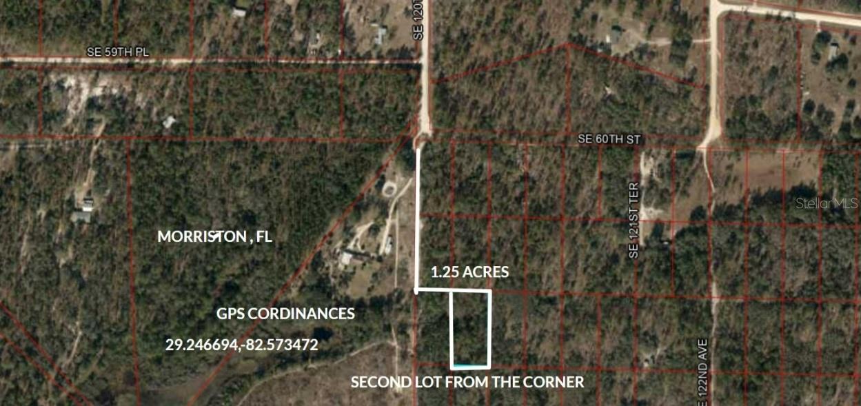SE 60 ST, MORRISTON, FL, 32668