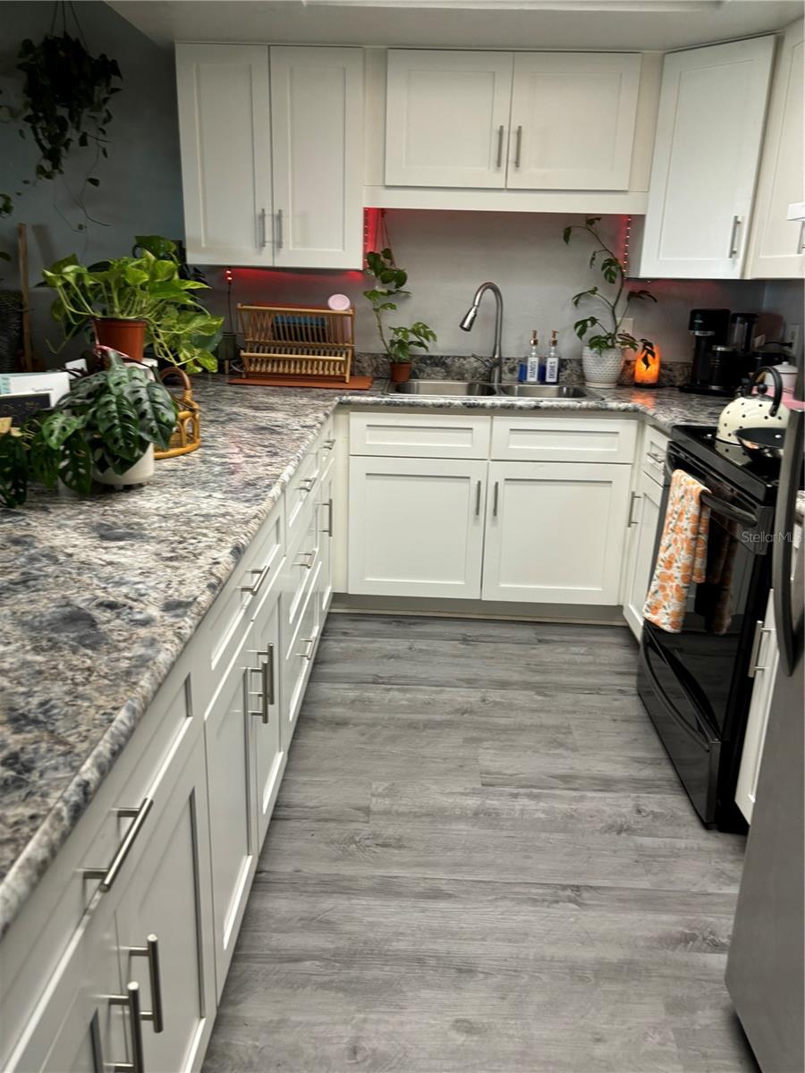 2430 INDIA PALM DR, EDGEWATER, FL, 32141