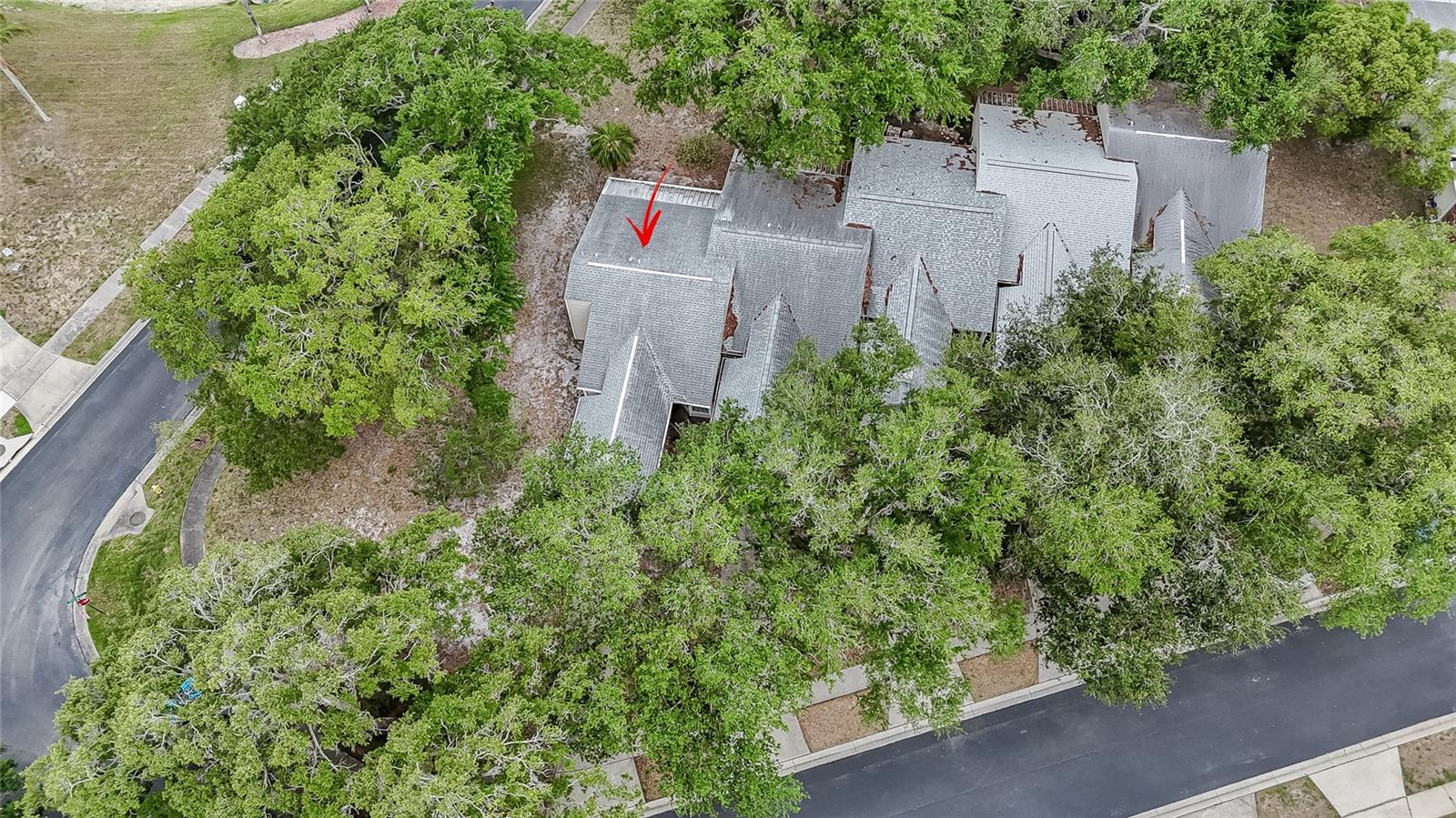 3163 CLAREMONT PL #A, PALM HARBOR, FL, 34683