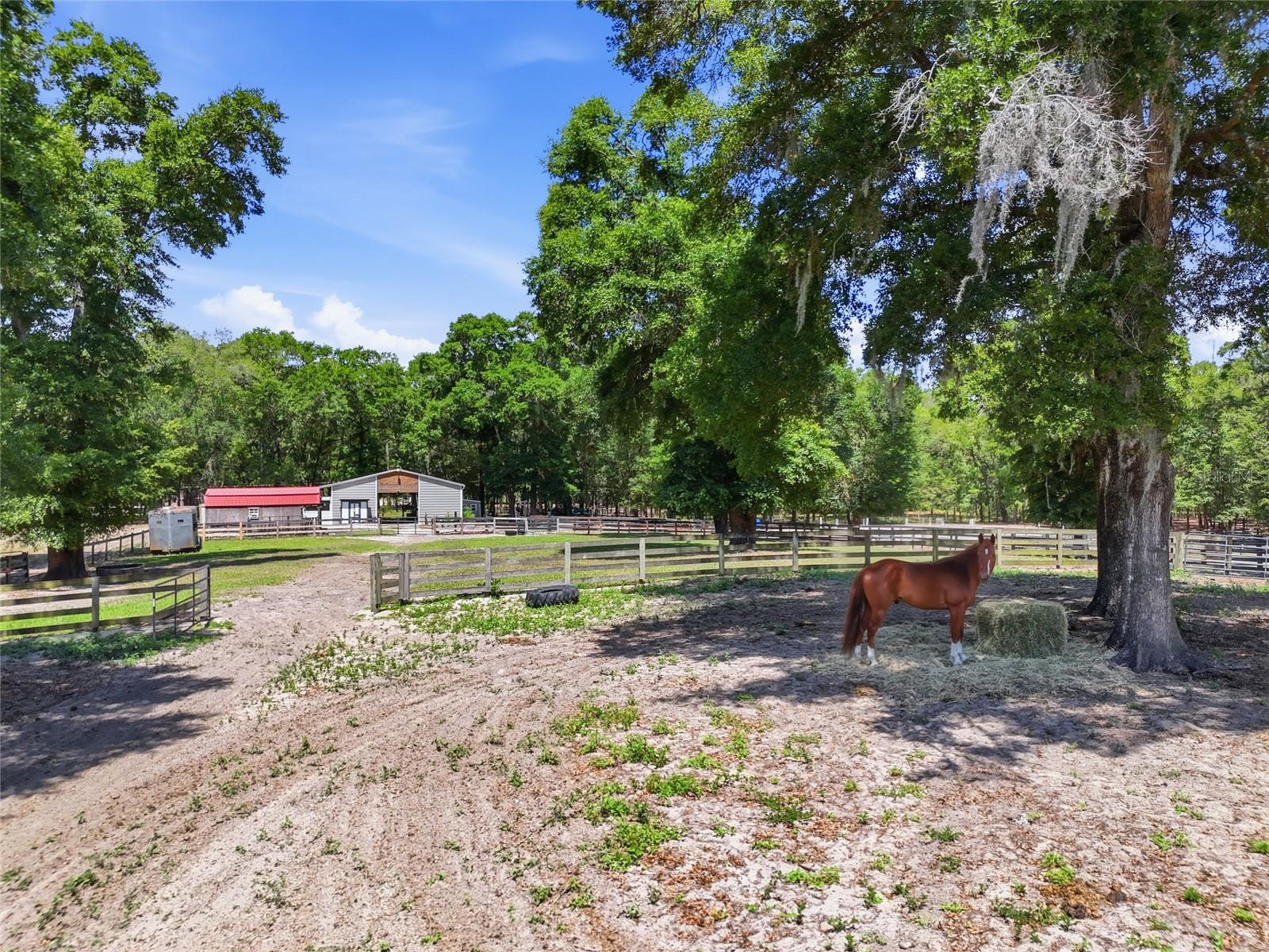 9106 SW 124TH ST, ARCHER, FL, 32618