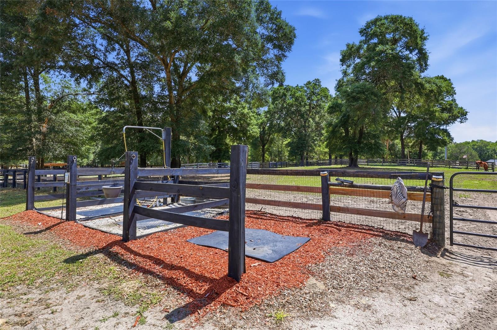 9106 SW 124TH ST, ARCHER, FL, 32618