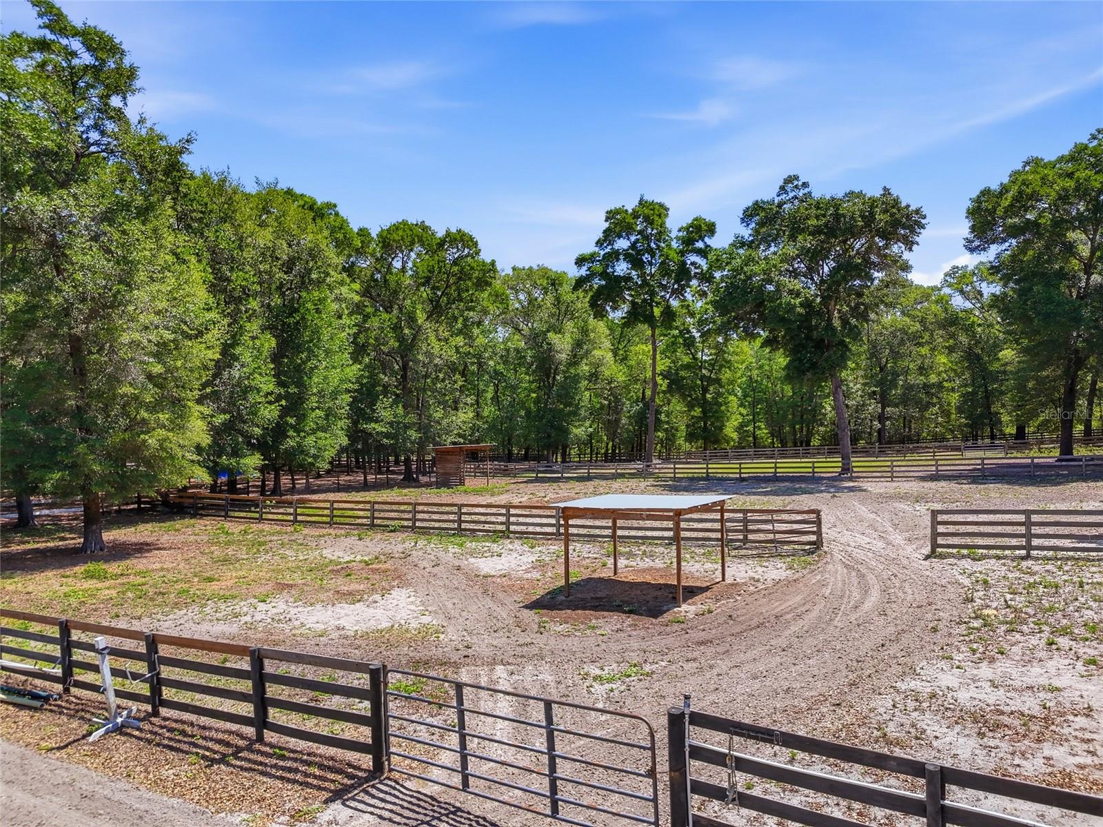 9106 SW 124TH ST, ARCHER, FL, 32618