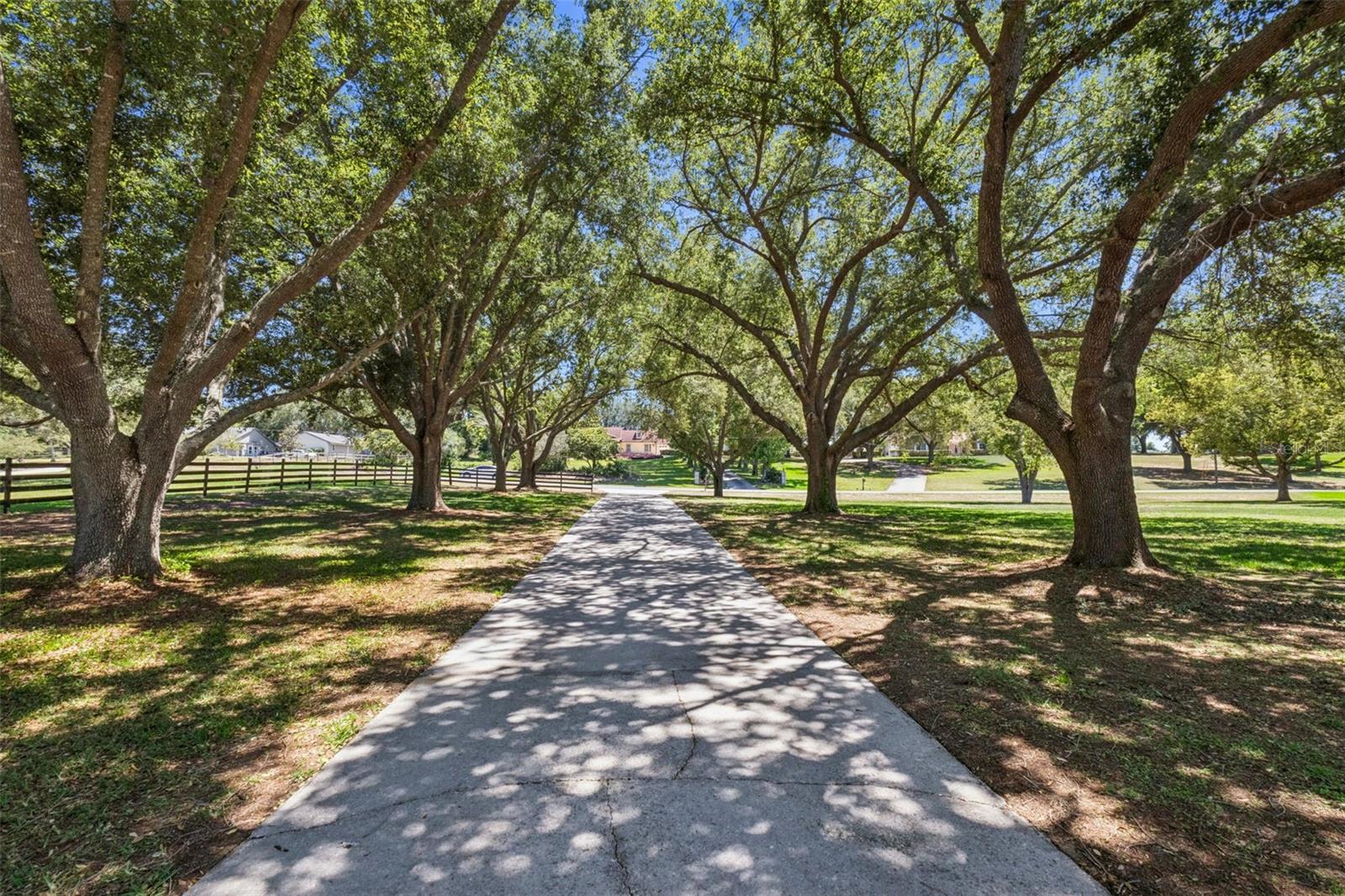 14951 THOROUGHBRED LN, MONTVERDE, FL, 34756