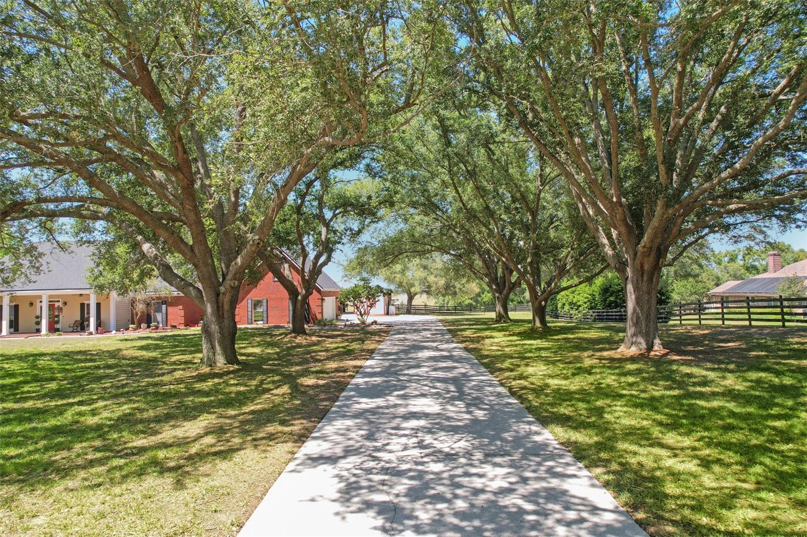 14951 THOROUGHBRED LN, MONTVERDE, FL, 34756