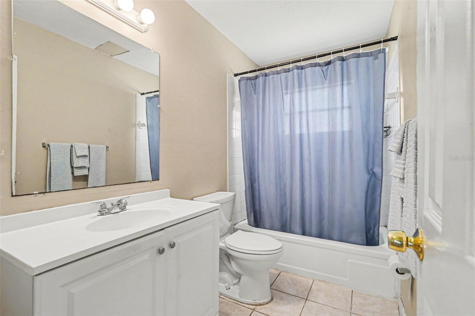 10108 ALAMBRA AVE, TAMPA, FL, 33619