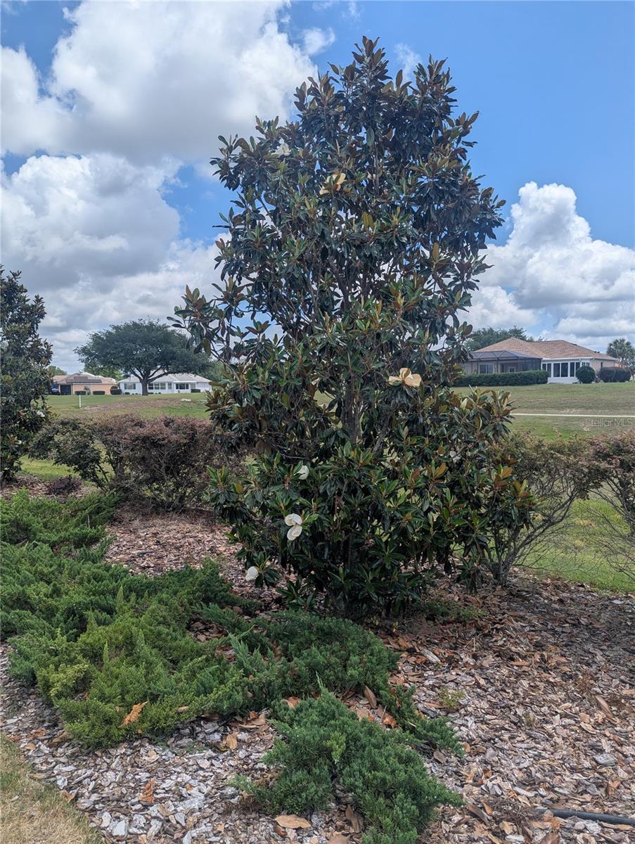 9985 SW 88TH LOOP, OCALA, FL, 34481