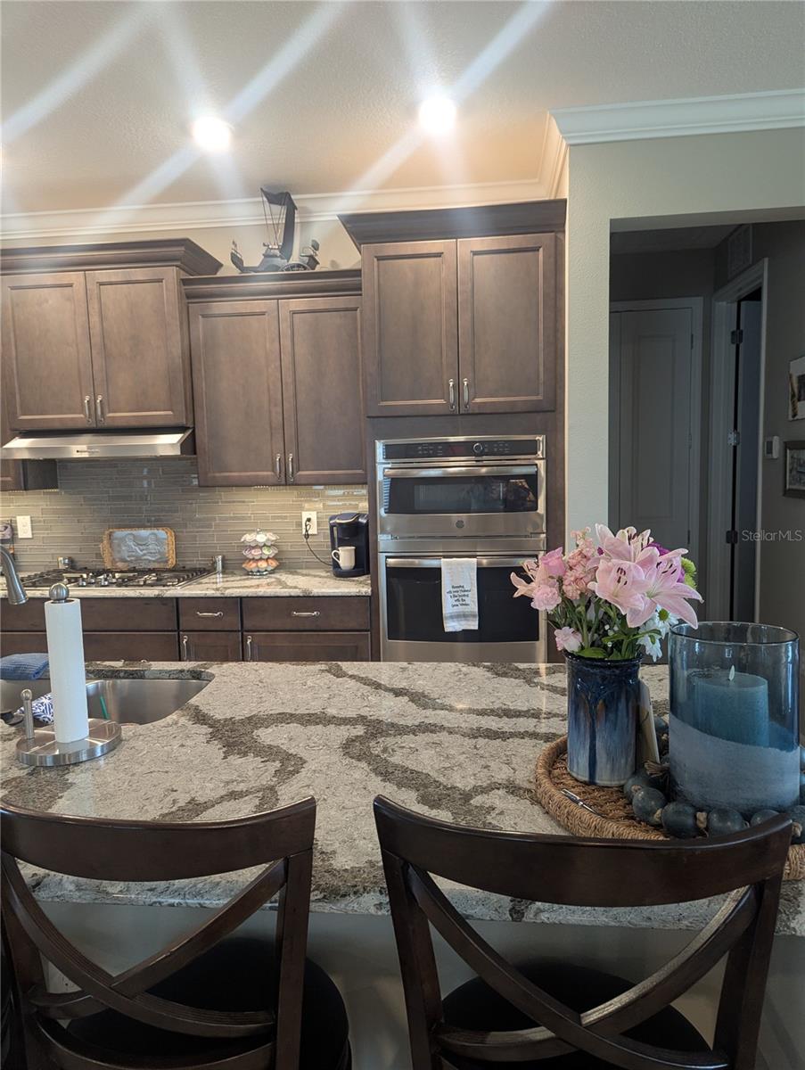 9985 SW 88TH LOOP, OCALA, FL, 34481