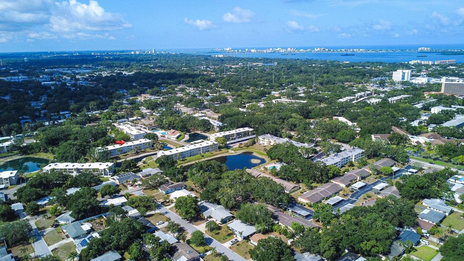 940 VIRGINIA ST #103, DUNEDIN, FL, 34698