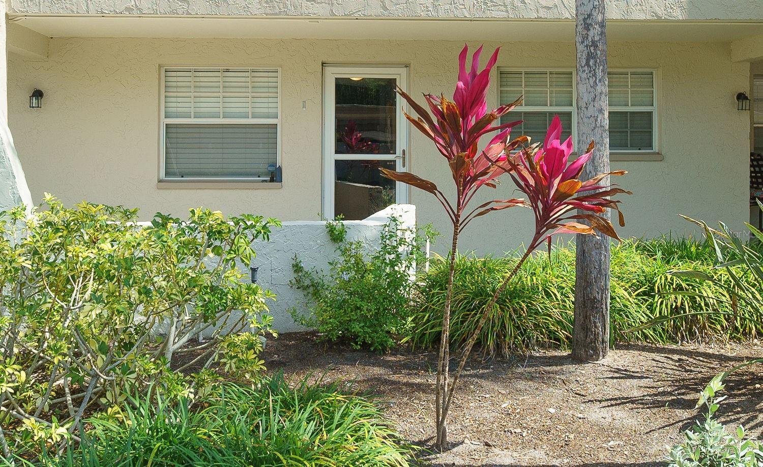 940 VIRGINIA ST #103, DUNEDIN, FL, 34698