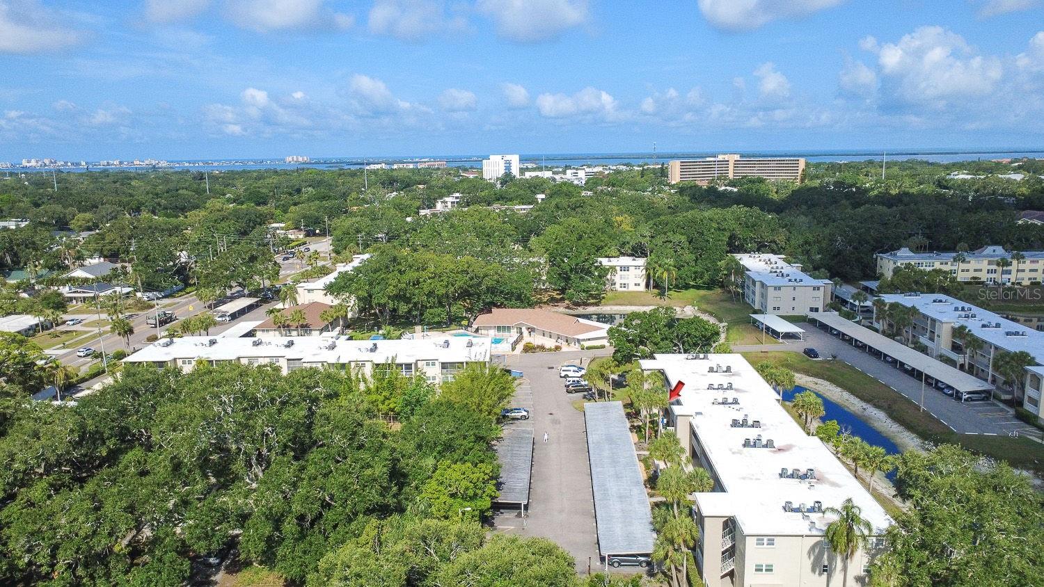940 VIRGINIA ST #103, DUNEDIN, FL, 34698