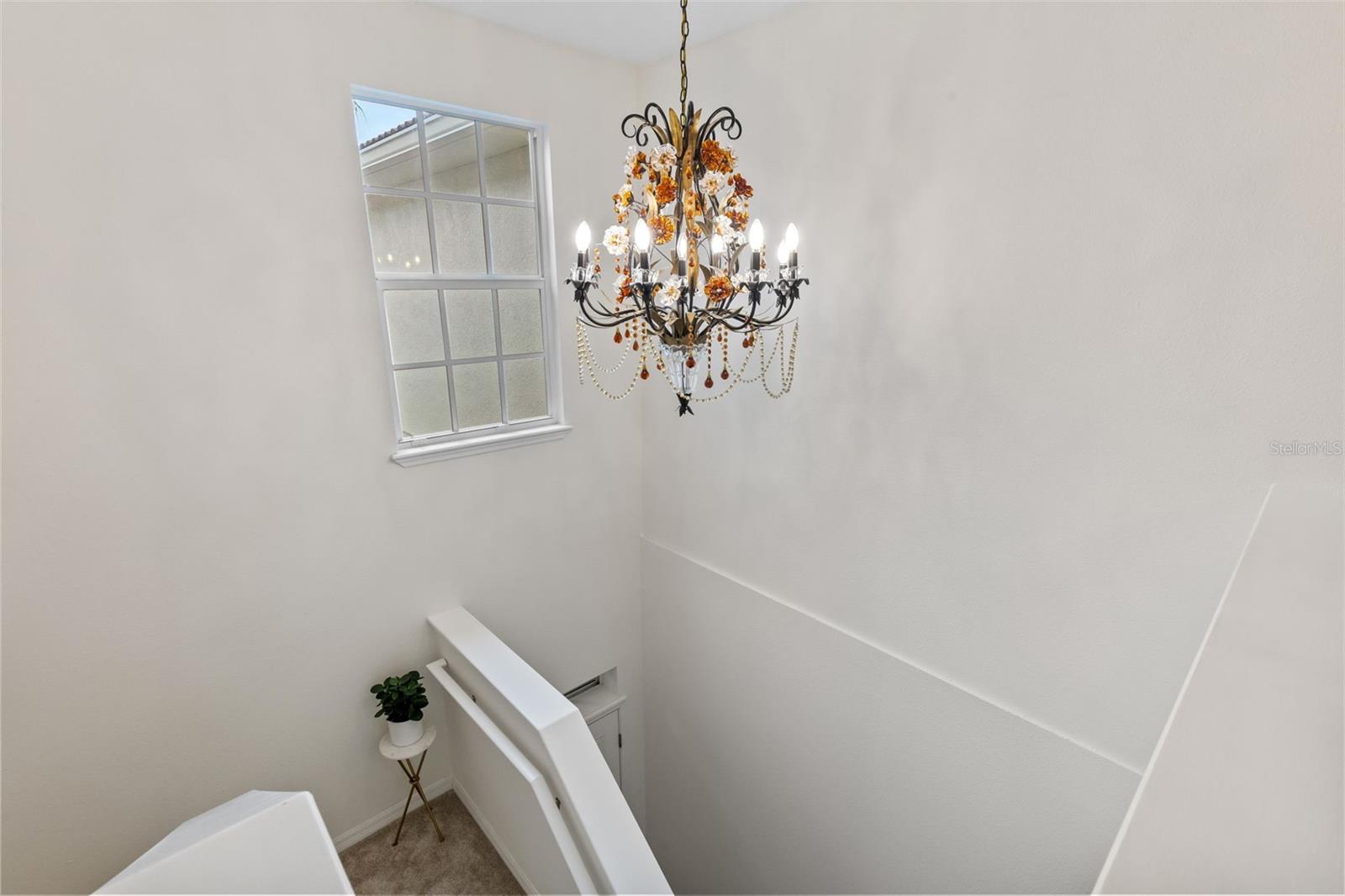 1372 RISERVA LN, PALM HARBOR, FL, 34683