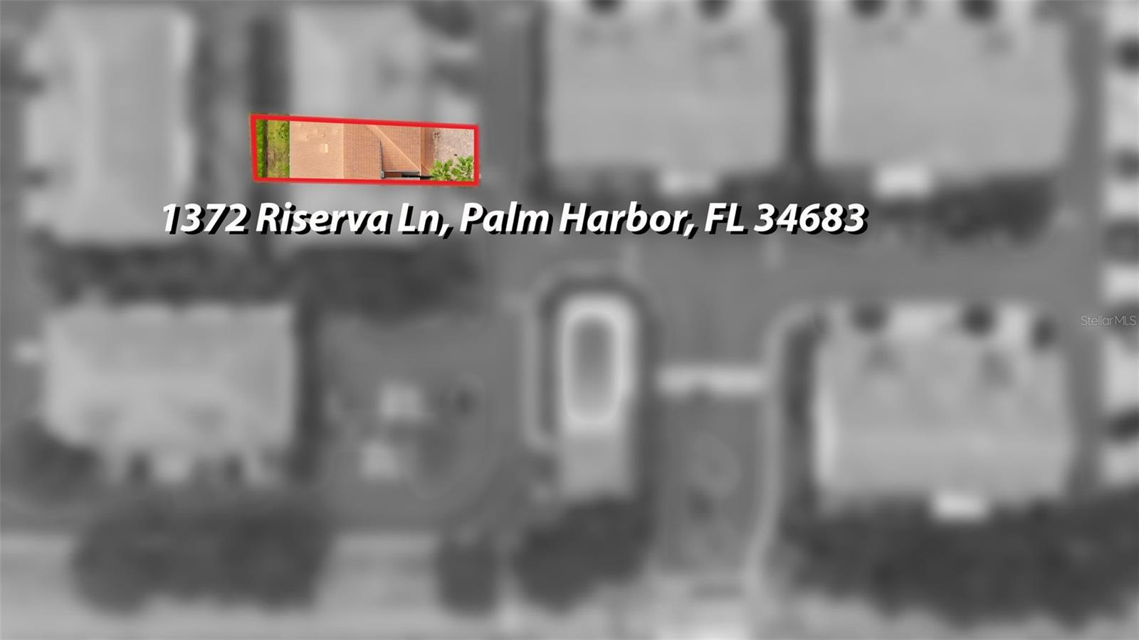 1372 RISERVA LN, PALM HARBOR, FL, 34683