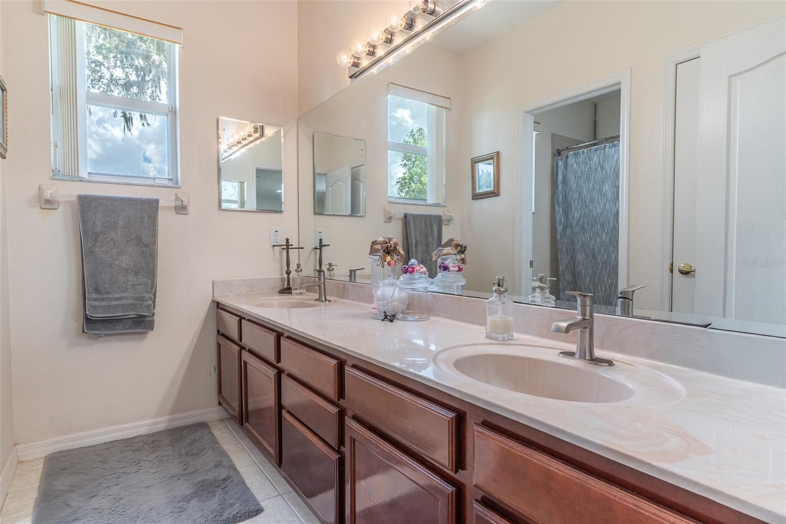 915 HICKORY FORK DR, SEFFNER, FL, 33584