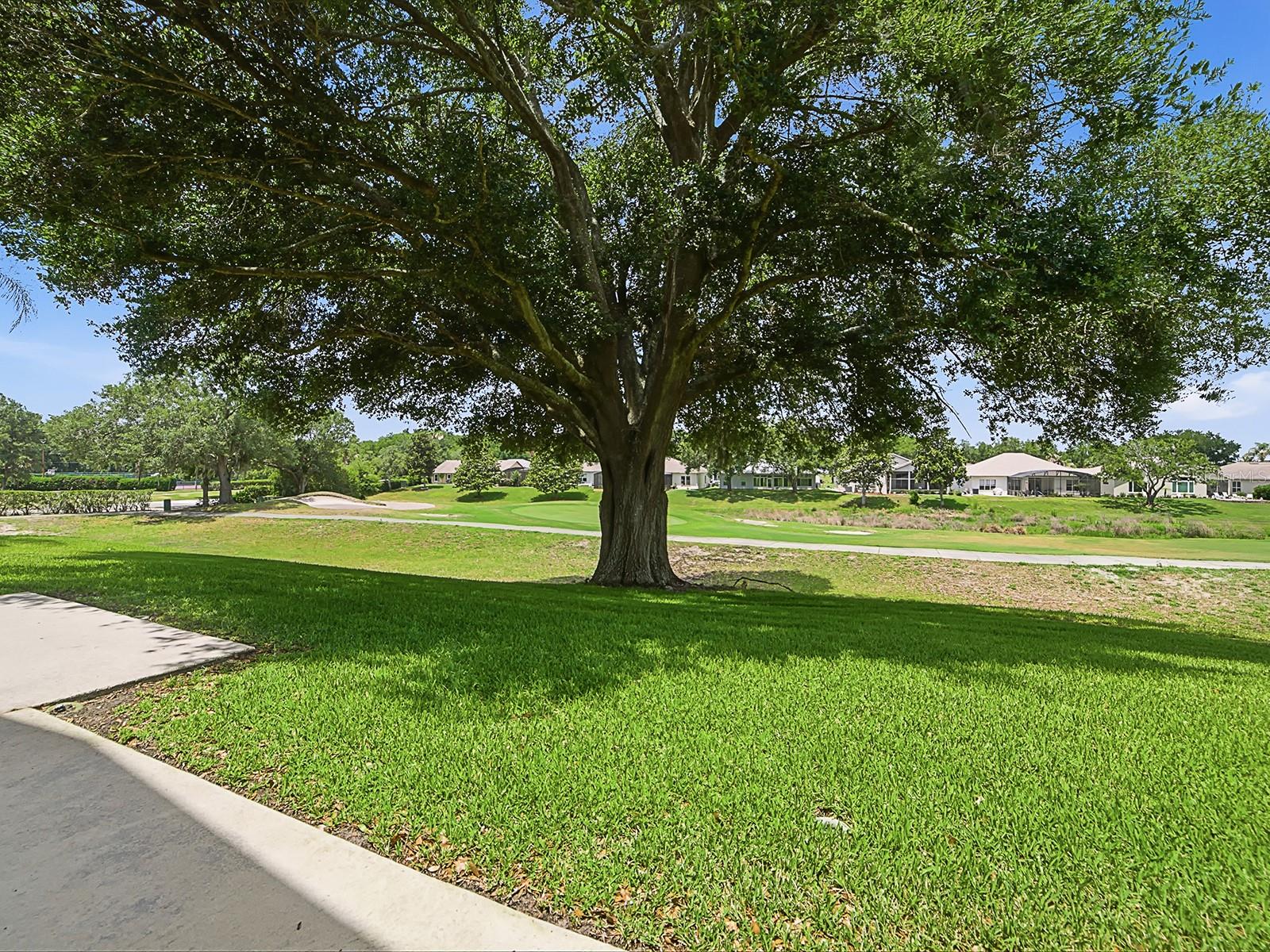 5106 CHANTICLEER DR, LEESBURG, FL, 34748