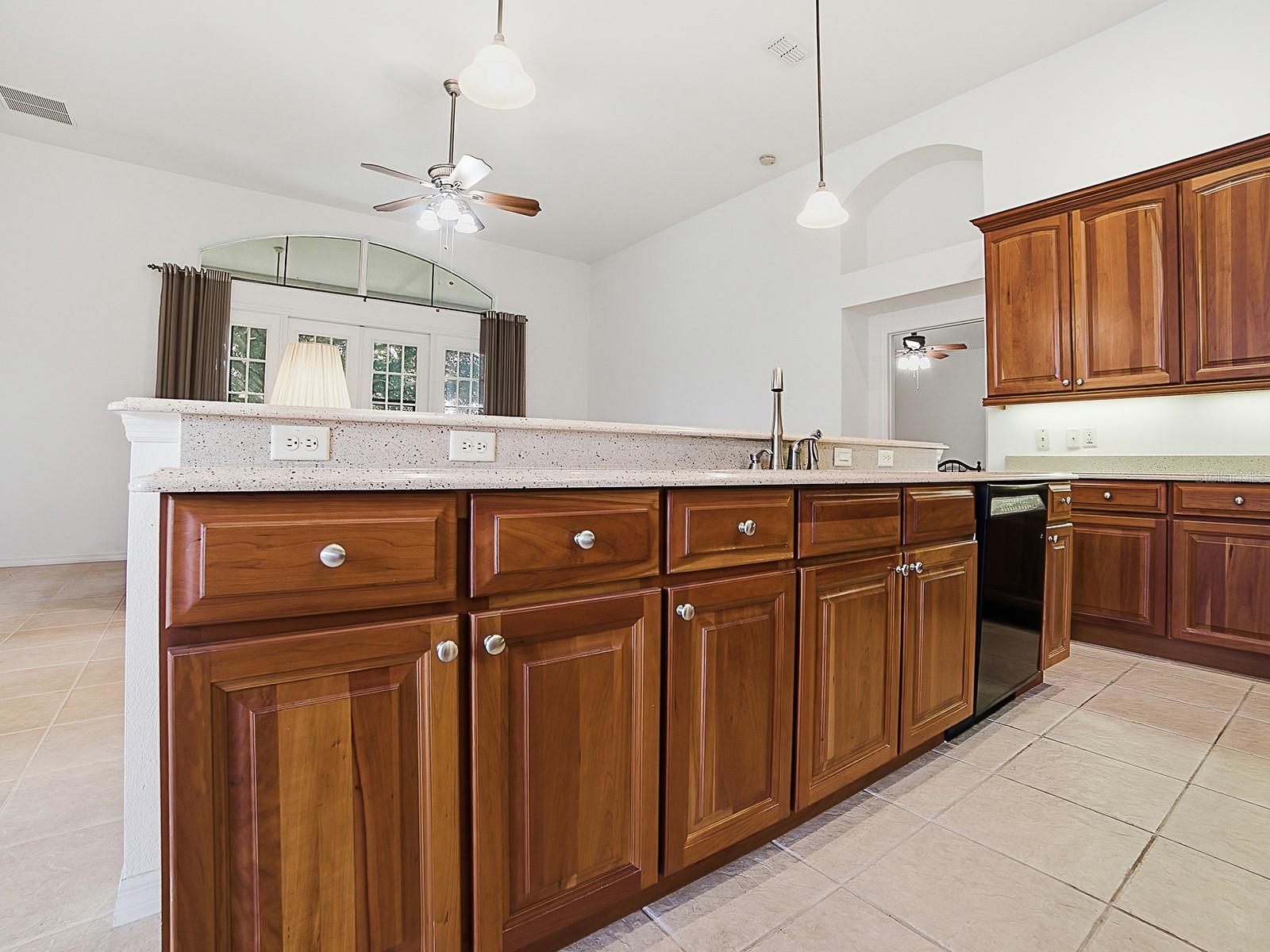 5106 CHANTICLEER DR, LEESBURG, FL, 34748