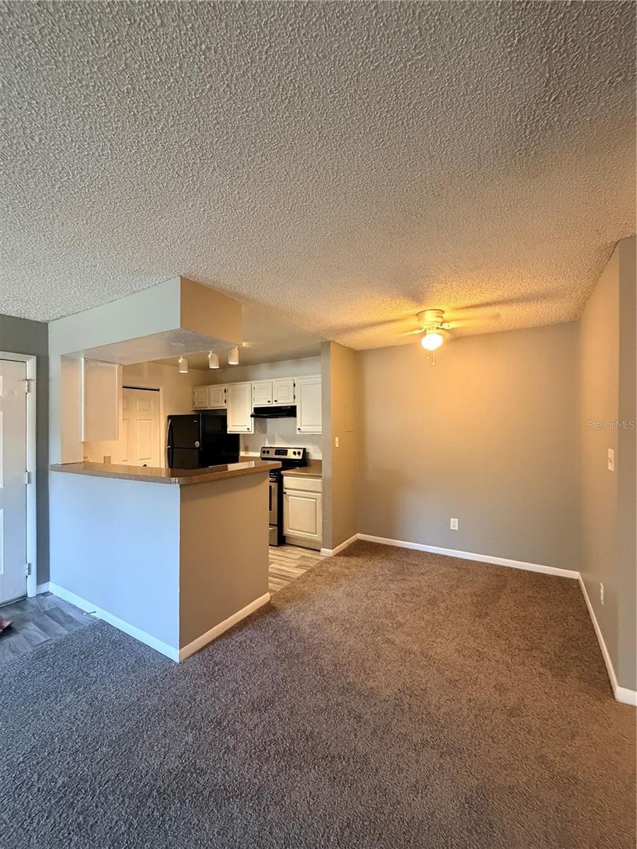 4367 THORNBRIAR LN #107, ORLANDO, FL, 32822