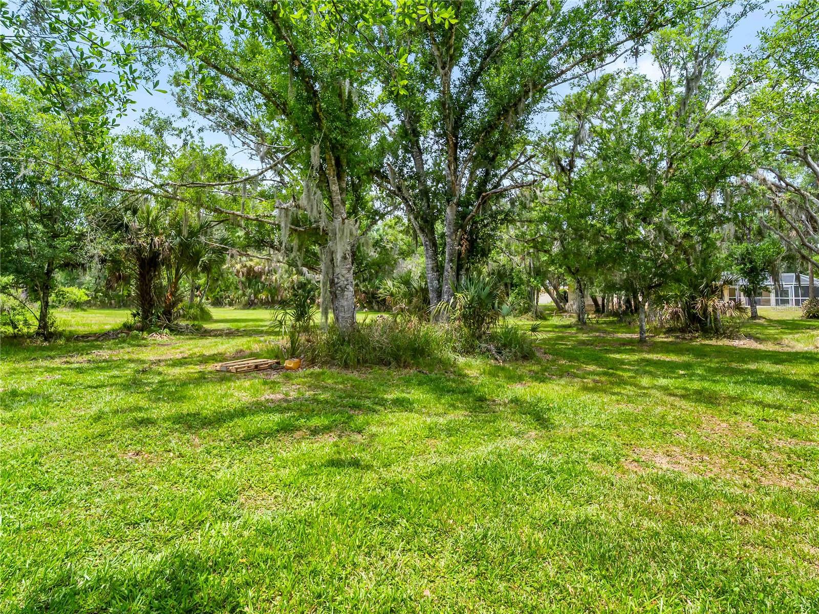 13505 WILD CITRUS RD, SARASOTA, FL, 34240