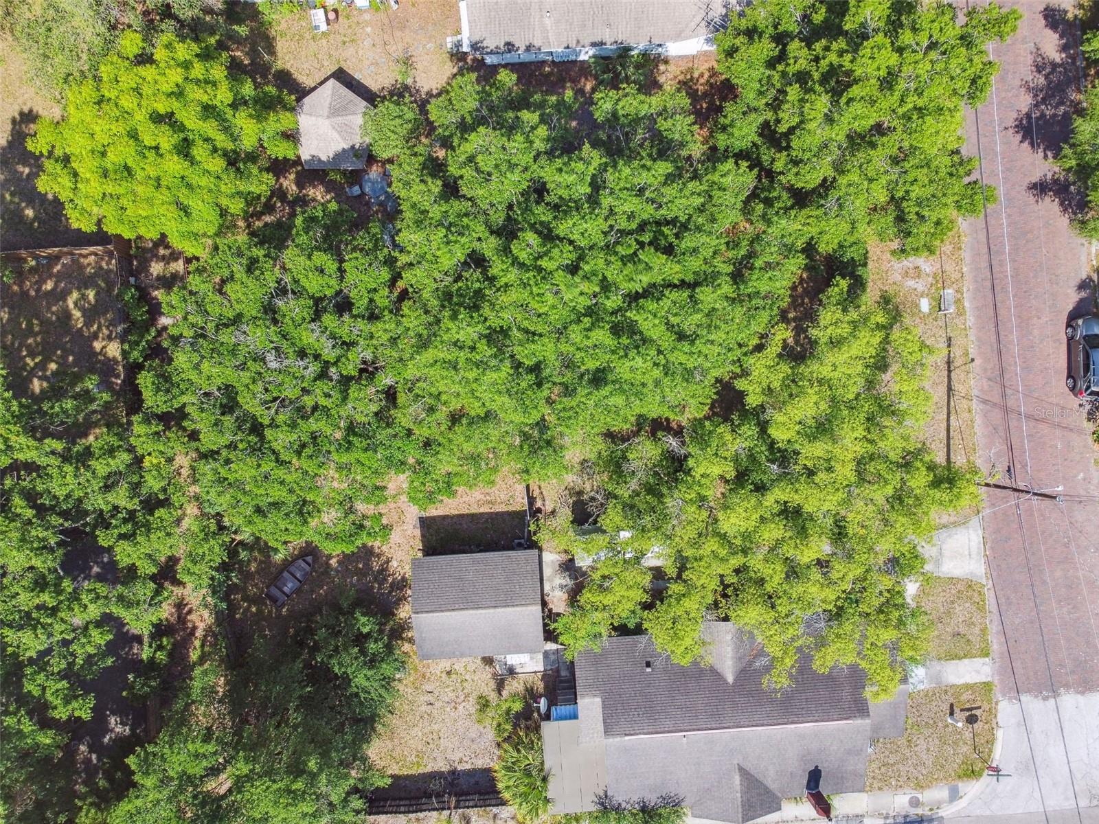 702 W VIRGINIA AVE, TAMPA, FL, 33603