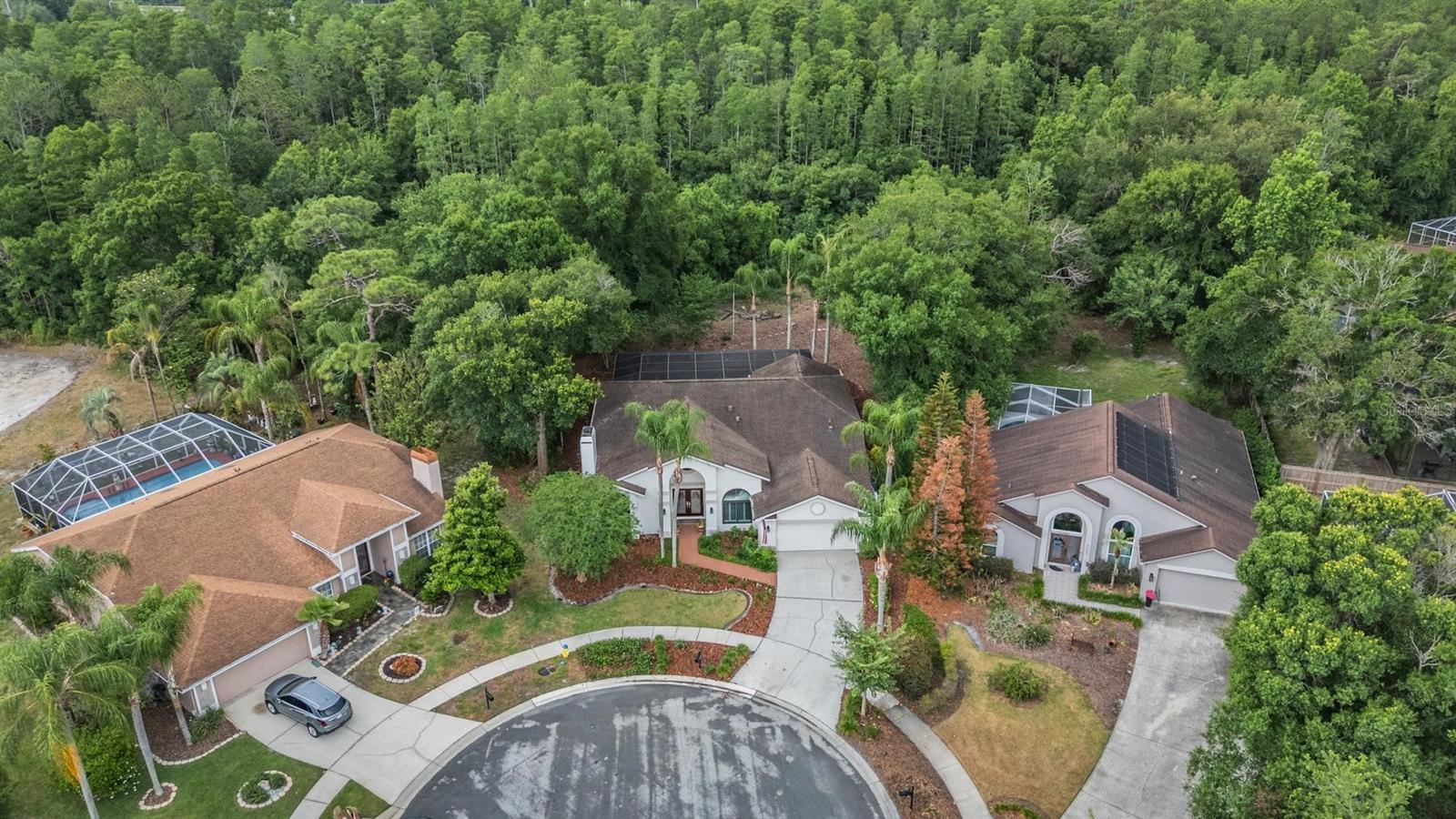 9507 LARKBUNTING DR, TAMPA, FL, 33647