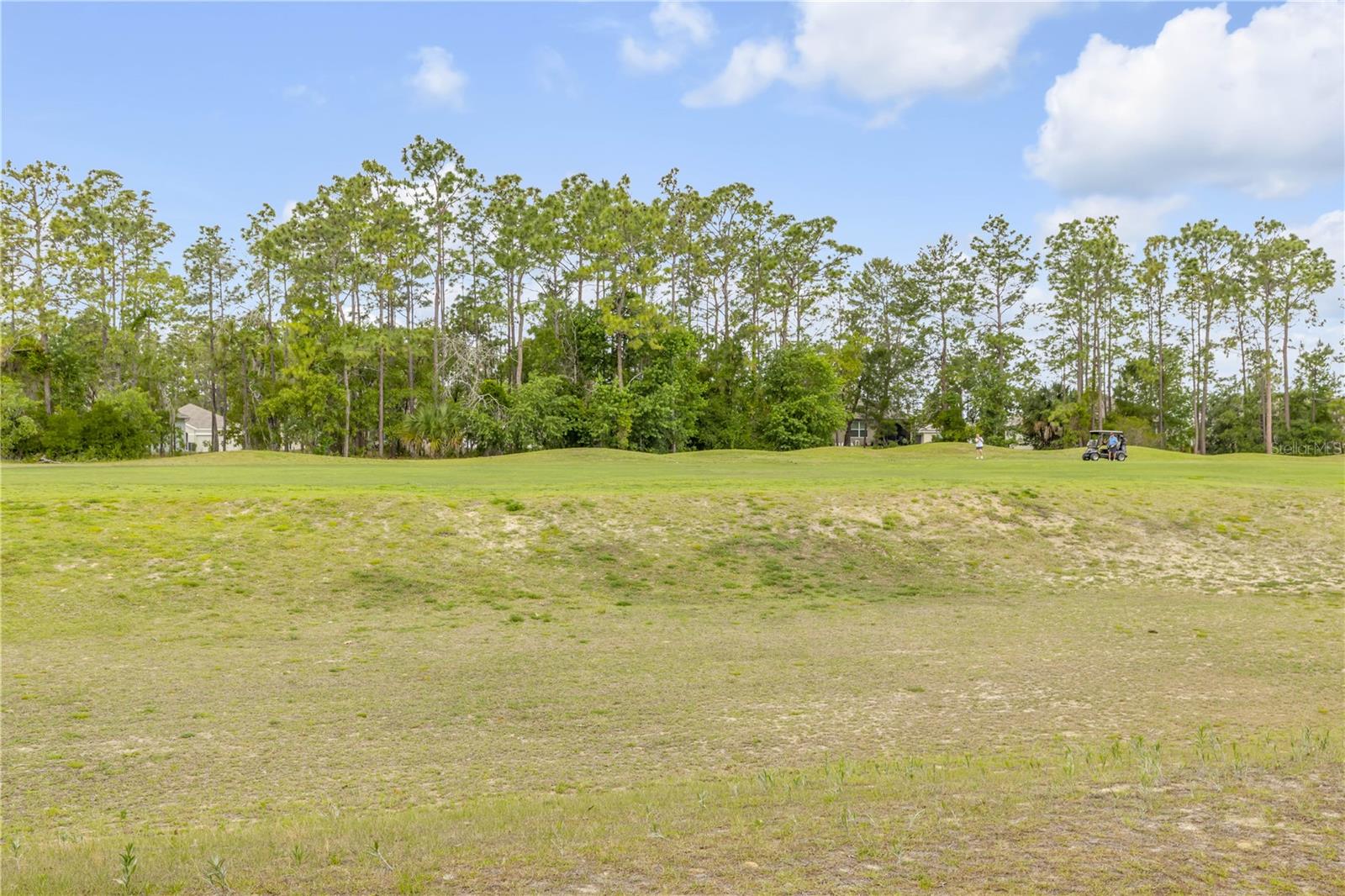 48 HICKORY CRSE, OCALA, FL, 34472