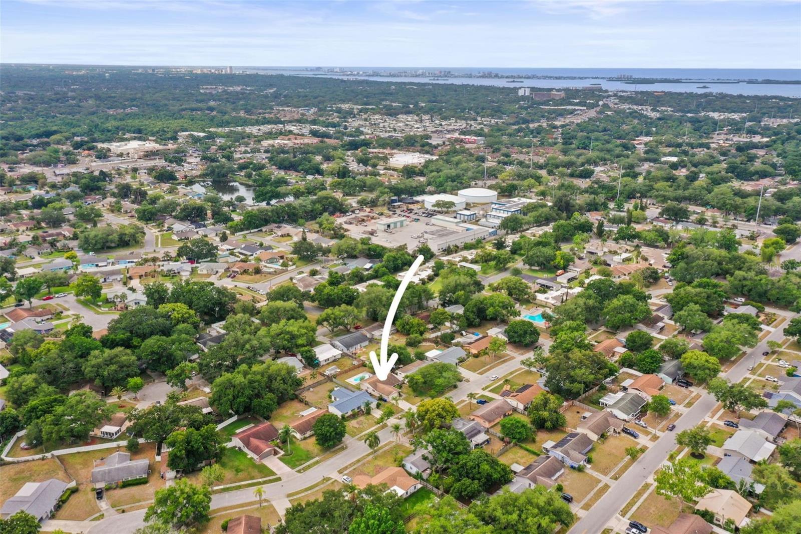 1613 GREENWOOD DR, DUNEDIN, FL, 34698