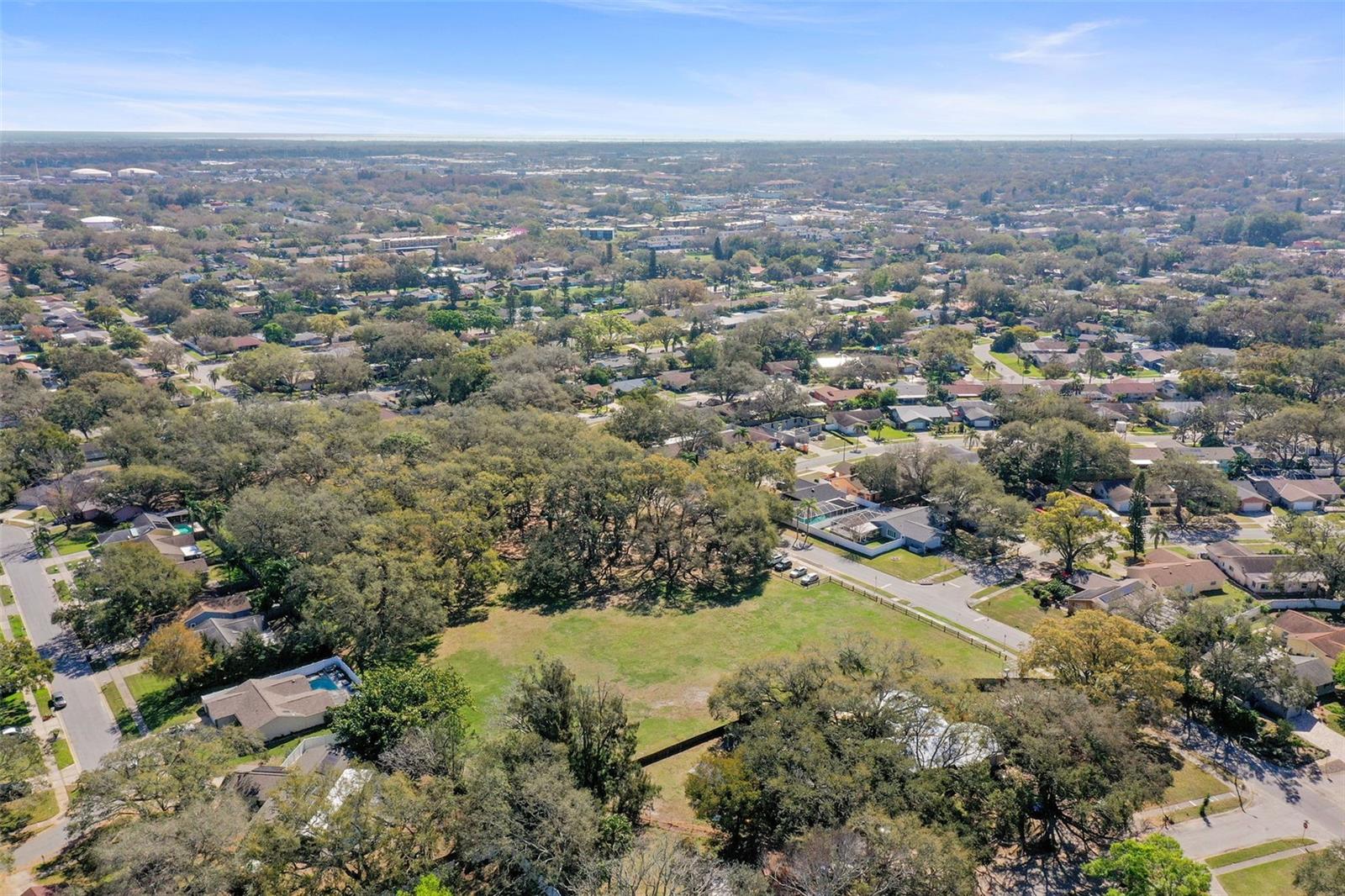 1613 GREENWOOD DR, DUNEDIN, FL, 34698