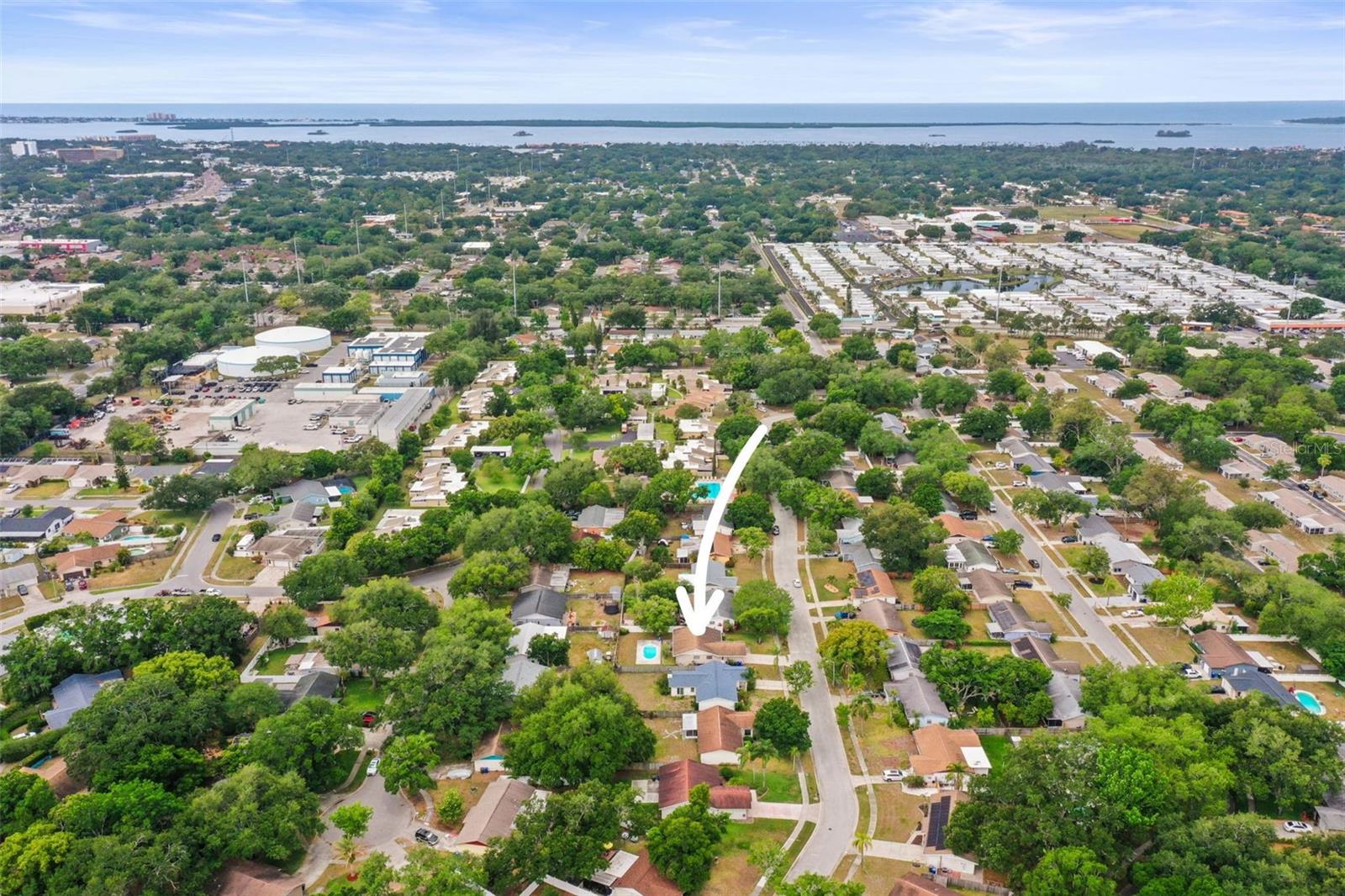 1613 GREENWOOD DR, DUNEDIN, FL, 34698