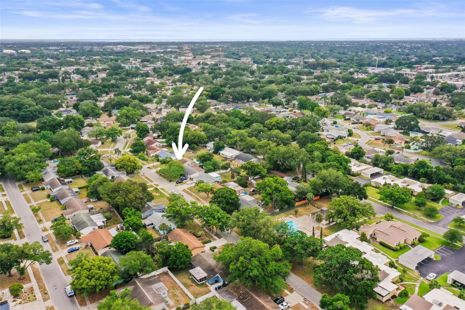 1613 GREENWOOD DR, DUNEDIN, FL, 34698