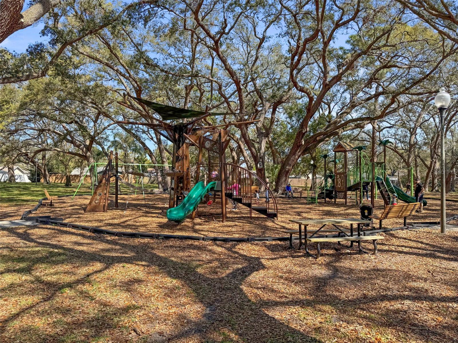 1613 GREENWOOD DR, DUNEDIN, FL, 34698