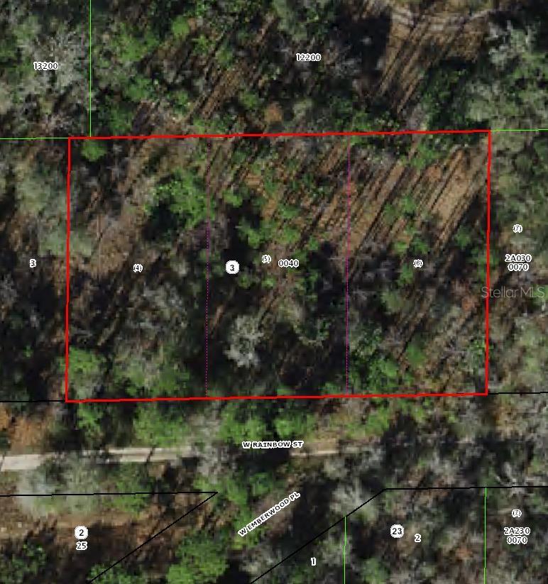 7265 W RAINBOW ST, DUNNELLON, FL, 34433