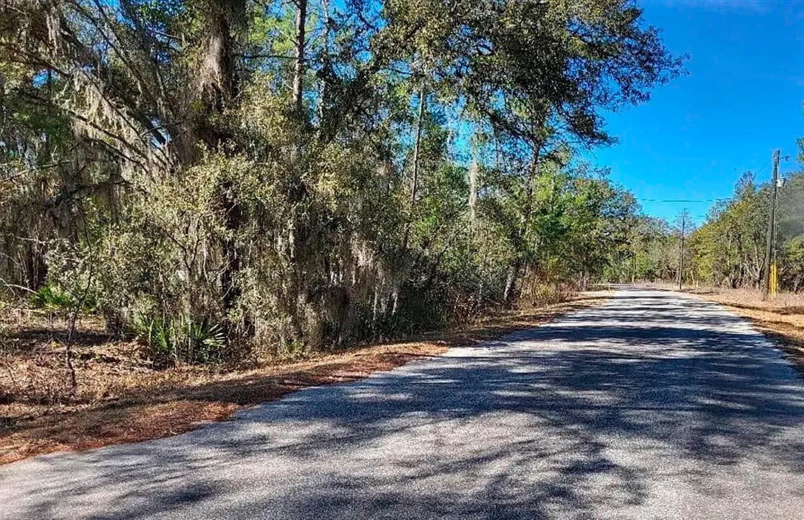 175 FISHER LN CT, OCKLAWAHA, FL, 32179